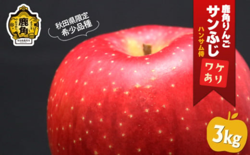 《 先行予約 》鹿角りんご 訳あり「秋田紅あかり」約 3kg ●2025年11月上旬発送開始【ハンサム侍】リンゴ 林檎 フルーツ グルメ ギフト 故郷 秋田 あきた 鹿角市 鹿角 送料無料  1376902 - 秋田県鹿角市