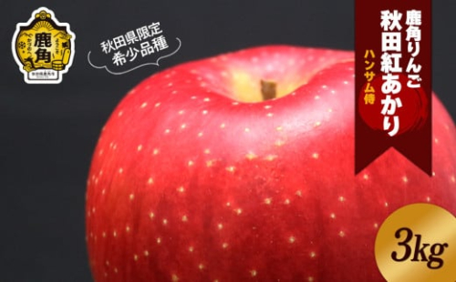 《 先行予約 》鹿角りんご 秀品「秋田紅あかり」約 3kg ●2025年11月上旬発送開始【ハンサム侍】リンゴ 林檎 フルーツ グルメ ギフト 故郷 秋田 あきた 鹿角市 鹿角 送料無料  1376903 - 秋田県鹿角市