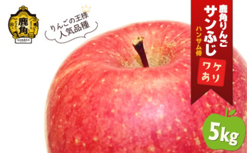 《 先行予約 》鹿角りんご 訳あり「サンふじ」約 5kg ●2026年1月中旬発送開始 【ハンサム侍】リンゴ 林檎 フルーツ グルメ ギフト 故郷 秋田 あきた 鹿角市 鹿角 送料無料  1376904 - 秋田県鹿角市