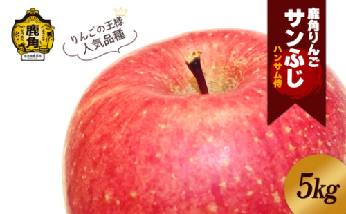 《 先行予約 》 鹿角りんご 秀品「サンふじ」約 5kg ●2026年1月中旬発送開始 【ハンサム侍】リンゴ 林檎 フルーツ グルメ ギフト 故郷 秋田 あきた 鹿角市 鹿角 送料無料  1376905 - 秋田県鹿角市