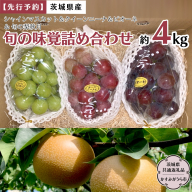 【 先行予約 】 茨城県産【 旬の味覚 】シャインマスカット クイーンニーナ と ピオーネ と 旬 の梨 秋月の詰め合わせ 約4kg (茨城県共通返礼品 かすみがうら市)  (2025年9月上旬発送開始) 久保田果樹園 産地直送 フルーツ 甘い 直送 茨城 限定 ギフト ぶどう シャインマスカット クイーンニーナ 秋月 詰め合わせ 食べ比べ 果物 [DH013sa]
