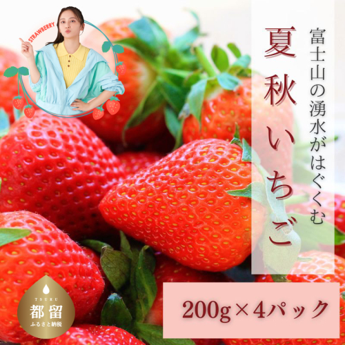 【2026年 先行予約】【湧水のミネラルたっぷり！山梨の夏秋いちご】ご家庭用 200ｇ× 4パック 137721 - 山梨県都留市