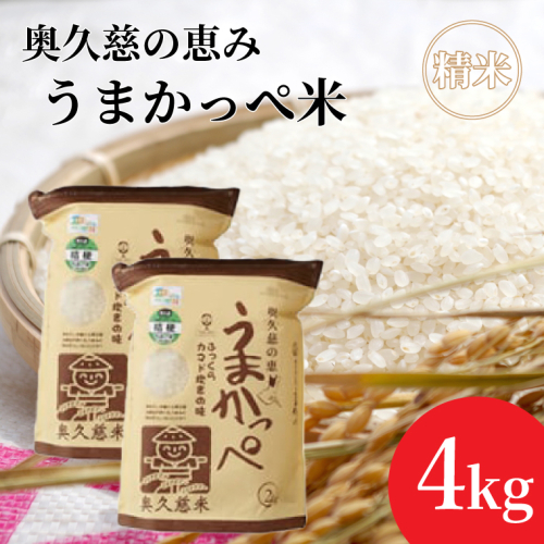 令和7年産奥久慈の恵みうまかっぺ米（コシヒカリ）2kg×2袋 計4kg｜茨城県 大子町 お米 白米 精米 ブランド米 銘柄米 食味値 ふっくら もちもち （AH001-2） 1377583 - 茨城県大子町