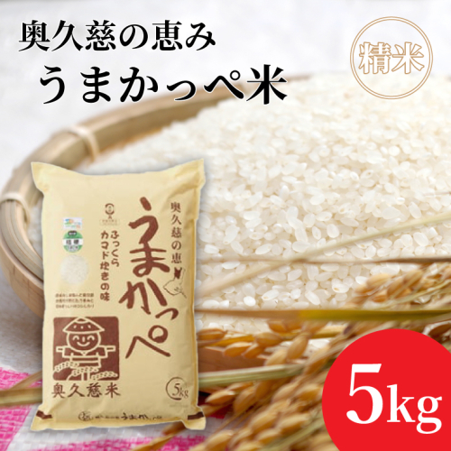 令和7年産【新米】奥久慈の恵みうまかっぺ米（コシヒカリ） 5kg｜茨城県 大子町 お米 白米 精米 ブランド米 銘柄米 食味値 ふっくら もちもち（AH002-2） 1377584 - 茨城県大子町