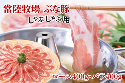 常陸牧場 ぶな豚 しゃぶしゃぶ用 (ロース400g・バラ400g)（AX001） 1377612 - 茨城県大子町