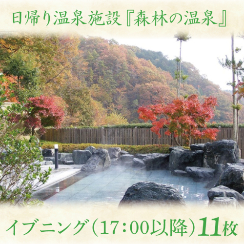 日帰り温泉施設『森林の温泉（もりのいでゆ）』 イブニング 17：00以降 回数券 11枚入り(BR003) 1377671 - 茨城県大子町