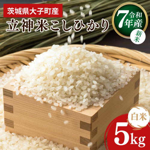 【10月より順次発送予定】令和7年産 立神米こしひかり（白米）5kg | 茨城県 大子町 コシヒカリ 米 コンテスト 受賞  生産者 大子産米 産地直送 もちもち グランプリ（BT067） 1377695 - 茨城県大子町