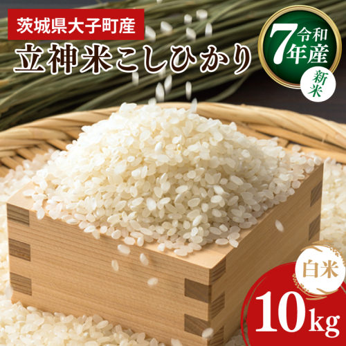 【10月より順次発送予定】令和7年産 立神米こしひかり（白米）10kg | 茨城県 大子町 コシヒカリ 米 コンテスト 受賞  生産者 大子産米 産地直送 もちもち グランプリ（BT068） 1377696 - 茨城県大子町