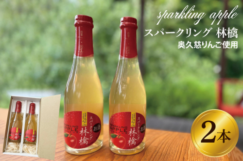 スパークリング 林檎 375ml (箱入り)× 2本 セット 果汁50％ ふじりんご100％使用(BJ002) 1377712 - 茨城県大子町