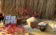 アミーゴ自然栽培米（5年目) 白米2kg 茨城県 大子町 米