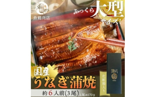 大型サイズ　ふっくら柔らか　国産うなぎ蒲焼き　3尾　化粧箱入【土用の丑の日のうなぎ】【2025年2月1日までにお届け】【UT06】 1378543 - 和歌山県上富田町