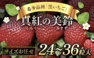 【先行予約/2024年12月配送開始】希少品種 黒いちご 真紅の美鈴 サイズお任せ 24粒～36粒 SMAN014