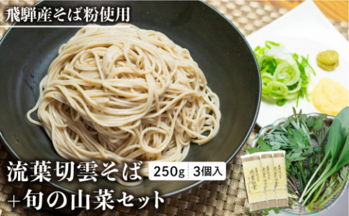 《先行予約》流葉切雲そば山菜セット 9人前 山菜蕎麦 天ぷら蕎麦 蕎麦 乾麺 山菜 新鮮 朝採れ【4月下旬～5月上旬発送】 1378935 - 岐阜県飛騨市