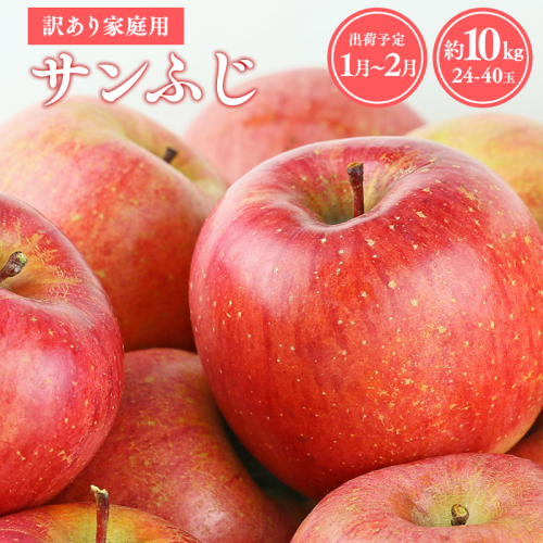 12月発送 訳あり 家庭用サンふじ約10kg【青森県平川市産・青森りんご】 1379005 - 青森県平川市