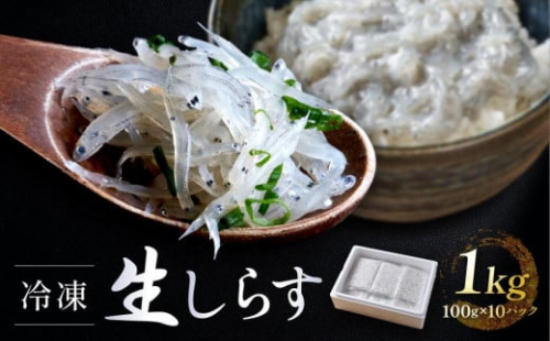 冷凍生しらす　1kg（100g × 10）静岡県御前崎産  生しらす丼 10杯分 小分け 個包装 便利 大容量 徳用 海鮮丼  使いやすい食べきりサイズ どんぶり 刺身 おつまみ おかず 惣菜 晩ごはん 1379031 - 静岡県御前崎市