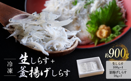 冷凍生しらす＋釜揚げしらすセット 約900g（生しらす100g × 4・釜揚げしらす70g × 7）静岡県御前崎産 しらす丼  小分け 個包装 便利 大容量 徳用  海鮮丼 どんぶり 刺身 おつまみ おかず 惣菜 晩ごはん 1379041 - 静岡県御前崎市