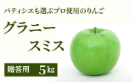 KR35-24A  りんご グラニースミス 贈答 約5kg / 11月下旬頃～配送予定 // 南信州産 長野県 りんご グラニースミス 約5kg