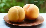 阪南市産 黄金桃 約2kg （6～8玉）_OY01 【2024年8月上旬発送予定】 果物 フルーツ 桃 もも