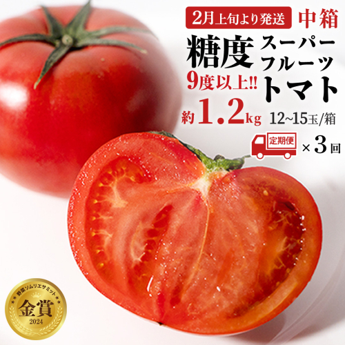 《 2026年収穫分 先行予約 》《 3回 定期便 》 糖度9度以上 スーパーフルーツトマト 中箱 約1.2kg × 1箱 × 3回 フルーツトマト ブランドトマト 野菜 ギフト 贈答 [BC049sa] 1379721 - 茨城県桜川市