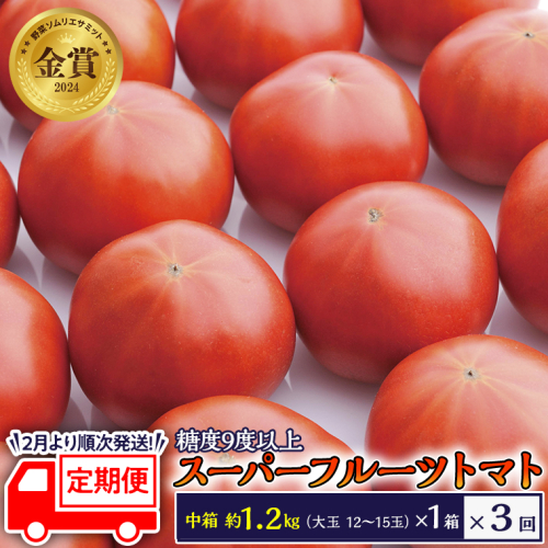 糖度9度以上 トマト 【 2025年収穫分 先行予約 】 【 定期便 】 スーパーフルーツトマト 中箱 約1.2kg×1箱×3回 お届け！ 糖度9度以上 フルーツトマト トマト 2025年2月上旬発送開始 とまと 野菜 [BC049sa] 1379721 - 茨城県桜川市