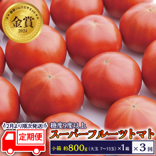 糖度9度以上 トマト 【 2025年収穫分 先行予約 】 【 定期便 】 スーパーフルーツトマト 小箱 約800g×1箱×3回 お届け！ 糖度9度以上 フルーツトマト トマト 2025年2月上旬発送開始 とまと 野菜 [BC050sa] 1379752 - 茨城県桜川市
