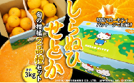 柑橘味くらべ!「甘平+しらぬい」2種詰め合わせ計約3kg(ハローキティパッケージ)＜C24-9＞【1518718】