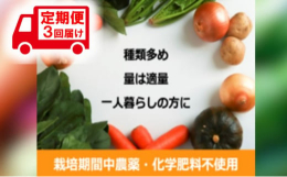 【配送不可：北海道・中国・四国・沖縄県・離島】1名様向け。サイズ60のダンボールにいっぱい野菜を入れます。出荷は基本的に収穫日の次の日に。旬で鮮度の高い野菜を、農園から直送。【春・夏】ほうれん草・小松