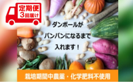 【配送不可：北海道・中国・四国・沖縄県・離島】2〜4名様向け。サイズ80のダンボールにいっぱい野菜を入れます。出荷は基本的に収穫日の次の日に。旬で鮮度の高い野菜を、農園から直送。【春・夏】ほうれん草・