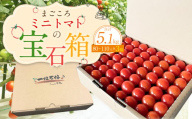 まごころ ミニトマト の宝石箱 1.7kg(約80～110玉)×3箱 計5.1kg サンチェリーピュア トマト【2024年7月上旬から11月下旬まで発送予定】