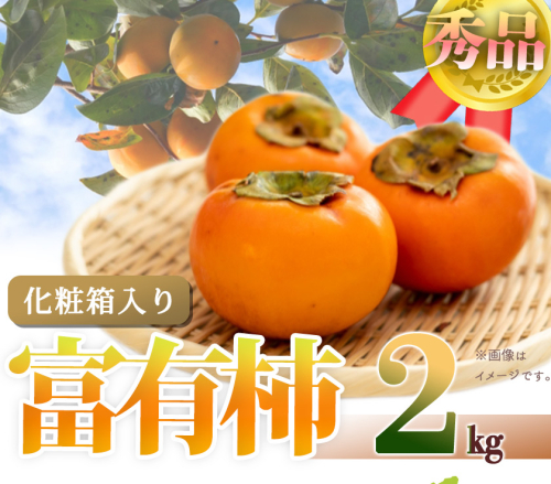 G7114_【2024年 先行予約】和歌山秋の味覚 富有柿 秀品 約2kg 化粧箱入 1381488 - 和歌山県湯浅町