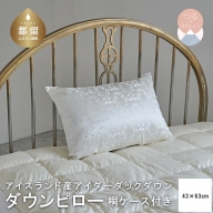 アイダーダウン枕43X63cm【新津】｜枕 絹 シルク