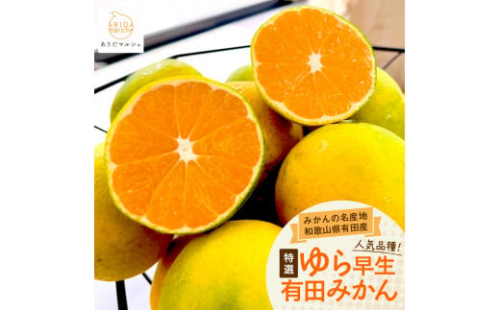 ［先行予約］特選 ゆら早生有田みかん約5kg［2025年10月上旬より発送］［サイズ混合］［MS25］ 1382032 - 和歌山県上富田町