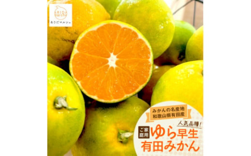 《先行予約・2026年10月～発送》ご家庭用ゆら早生 有田みかん 10kg［訳あり］［MS28］ 1382035 - 和歌山県上富田町