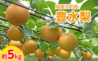 高根沢町産 豊水梨 約5kg（8～14玉）送料無料 ※2024年9月上旬～9月下旬頃に順次発送予定 ※北海道・沖縄・離島への配送不可