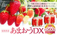 あまおうDX 約280g×2パック 苺 イチゴ あまおうデラックス あまおう 果物 くだもの フルーツ 【2025年2月上旬～4月上旬発送予定】
