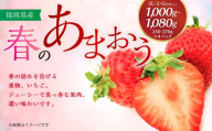 春のあまおう 2L・2A・G規格以上 約250-270g×4パック 苺 イチゴ あまおう くだもの 果物 フルーツ 【2025年3月上旬～4月下旬発送予定】