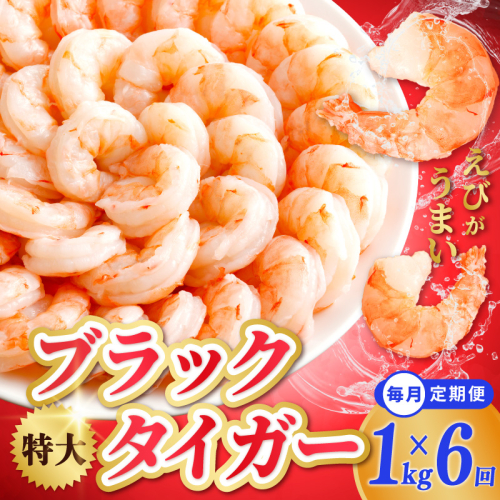特大ブラックタイガー 定期便 1kg×全6回 むきえび 30-40尾 背ワタなし【毎月配送コース】 kgp0114 1383012 - 大阪府泉佐野市
