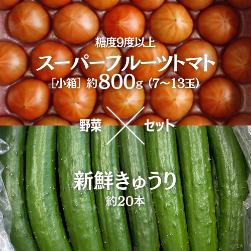 糖度9度以上 トマト 【 2025年収穫分 先行予約 】 スーパーフルーツトマト 小箱 約800g (7～13玉) 糖度9度以上 ＆ 新鮮 きゅうり 約20本 野菜セット 2025年2月上旬発送開始 とまと トマト 胡瓜 キュウリ 野菜 サラダ [BC064sa] 1383023 - 茨城県桜川市