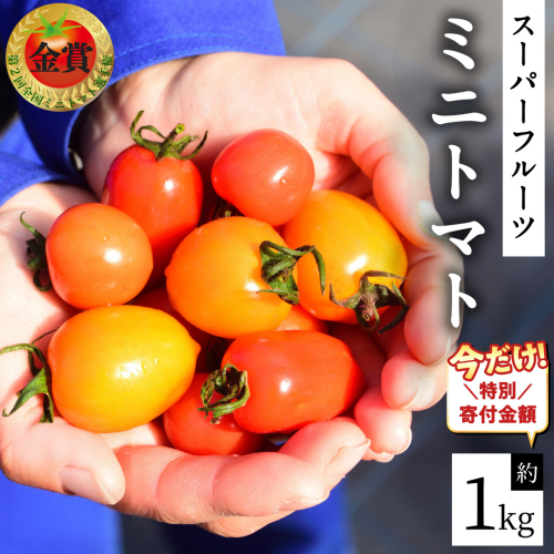 【12/31ご寄附分まで特別寄附額】 スーパーフルーツ ミニトマト 約1kg 2026年2月上旬発送開始 ミニトマト フルーツトマト ブランドトマト トマト とまと 野菜 [BC070sa] 1383025 - 茨城県桜川市