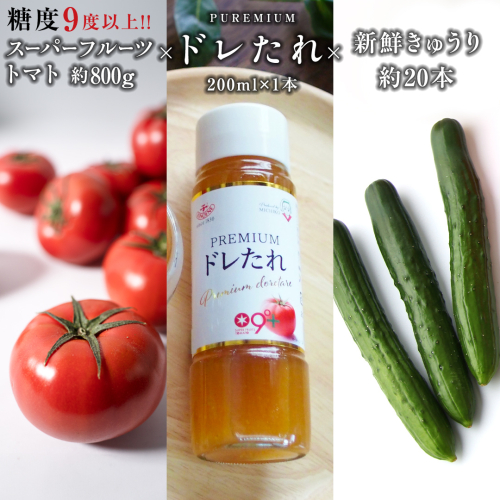 【 2025年収穫分 先行予約 】 スーパーフルーツトマト 小箱 約800g ( 7～13玉 ) 糖度9度以上 ＆ 新鮮 きゅうり 約20本 と PREMIUM ドレたれセット  ( 2025年2月上旬発送開始 ) とまと トマト 野菜 サラダ ドレッシング キノエネ醤油 [BC078sa] 1383078 - 茨城県桜川市