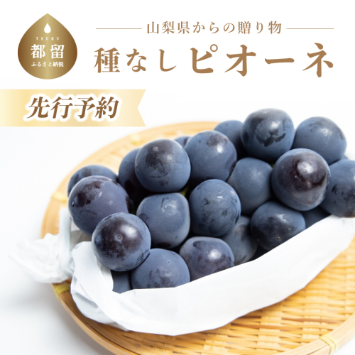 【2025年 先行予約】山梨県産　種なしピオーネ２房(約1.0Kg） 2～3房 山梨 やまなし 葡萄 ブドウ フルーツ 果物 くだもの ぶどう デザート スイーツ 黒葡萄 黒ブドウ 黒ぶどう 濃厚 138320 - 山梨県都留市