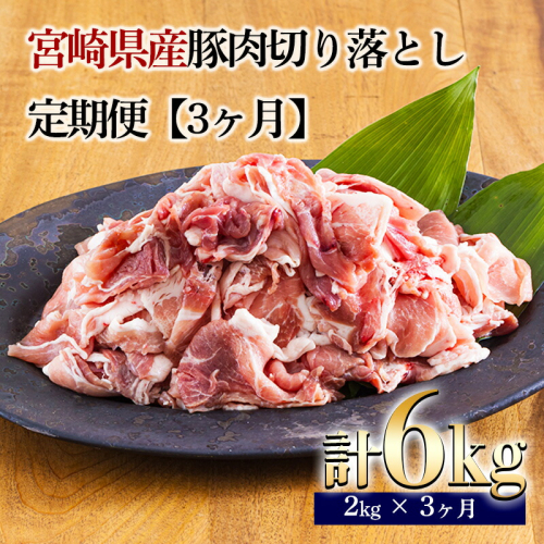 【定期便3ヶ月】宮崎県産豚肉切り落とし合計6kg(6000g) ひと月に200gの小分けパック10袋お届け! [国産 日本産 お肉 ワンストップオンライン]  TF0686-P00020 1383466 - 宮崎県高原町