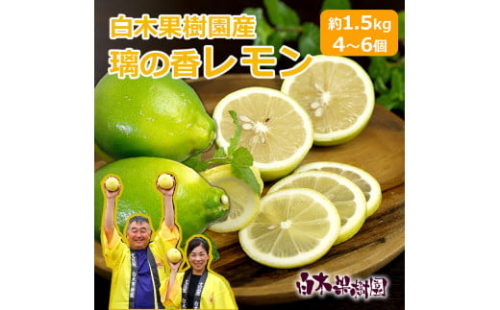 璃の香レモン　約1.5kg　（4～6個）訳ありご家庭用 1383469 - 高知県土佐市