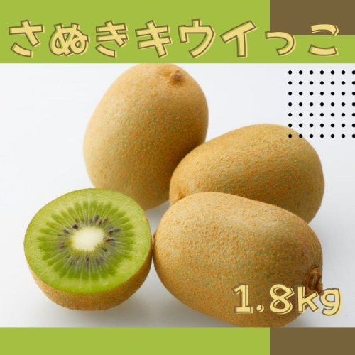 さぬきキウイっこ キウイフルーツ 1.8kg【予約受付中！令和6年11月中旬頃より発送！】【A-114】 1383550 - 香川県多度津町