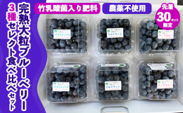 ＜ポイント その1＞49才で脱サラした元製薬会社研究開発社員（薬学博士）のオーナーが「腸活」と「竹乳酸菌」をヒントに独自に開発した「竹パウダー＆ウッドチップ農法」で育てた栽培期間中農薬不使用のブルーベ
