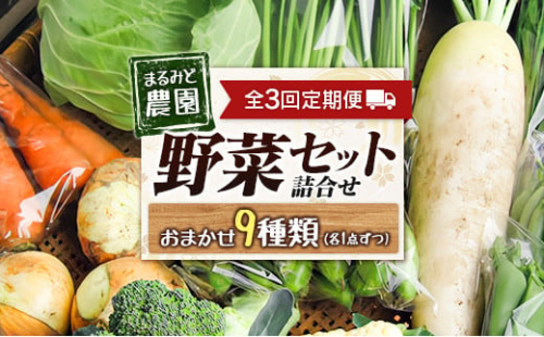 『定期便』全3回 野菜セット 詰め合わせ まるみど農園の季節のお野菜便 毎月 9種類 旬 農家直送 国産 送料無料_MA105_001s3