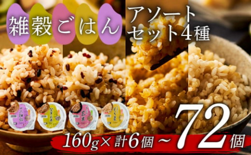 雑穀ごはん アソートセット 4種 160g 12個 十六雑穀 発芽玄米 玄米 もち麦 パックごはん パックご飯 ごはんパック ご飯パック パックライス パック 16雑穀 雑穀 米 ごはん ご飯 こめ ライス 備蓄 保存 防災 レンジ 温めるだけ レンチン 簡単 調理 健康 栄養 ダイエット 美容 レトルト インスタント 国産 セット 人気 おいしい 12 12食 金のいぶき おくさま印 大阪 松原