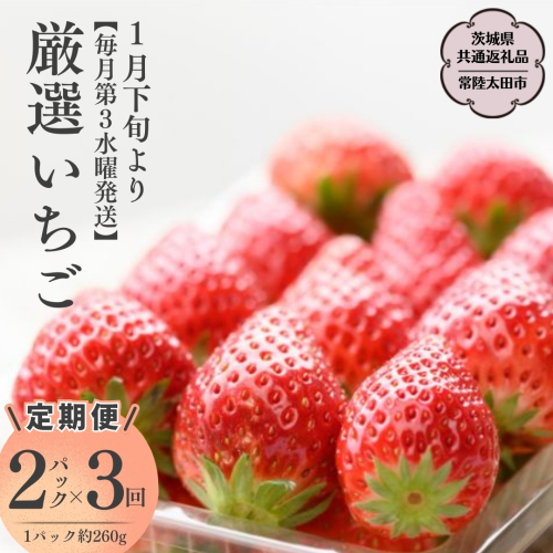 【2026年 先行予約】【定期コース】厳選いちご 2パック×3回【第3水曜発送】（茨城県共通返礼品／常陸太田市） 2026年1月発送開始 フルーツ 苺 イチゴ いちご 新鮮 朝採れ 茨城県 桧山FRUITFARM [DY009sa]	 1384164 - 茨城県桜川市