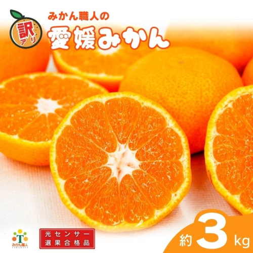 訳あり 愛媛みかん 約3kg 【発送期間：9月中旬～1月中旬】 柑橘 果物 国産 フルーツ 蜜柑 ミックス 不揃い 傷 温州 ビタミン 美味しい みかん職人武田屋 愛媛県 愛南町 1384235 - 愛媛県愛南町