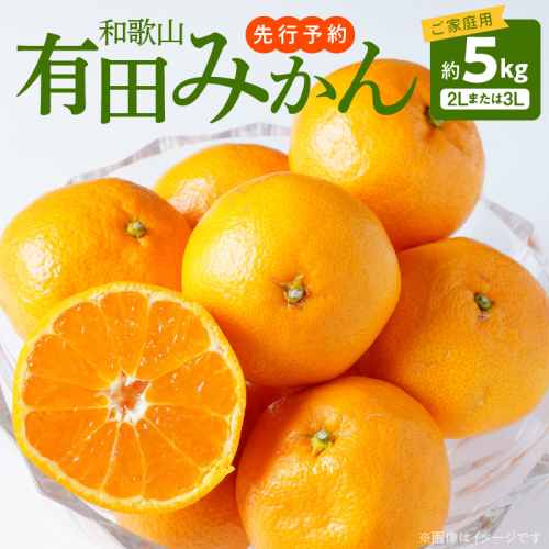 AT6300_【先行予約】【ご家庭用】和歌山有田みかん 約5kg (2L、3Lサイズいずれか)【湯浅町】 1384237 - 和歌山県湯浅町